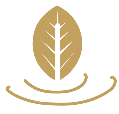 D risposte di Torah