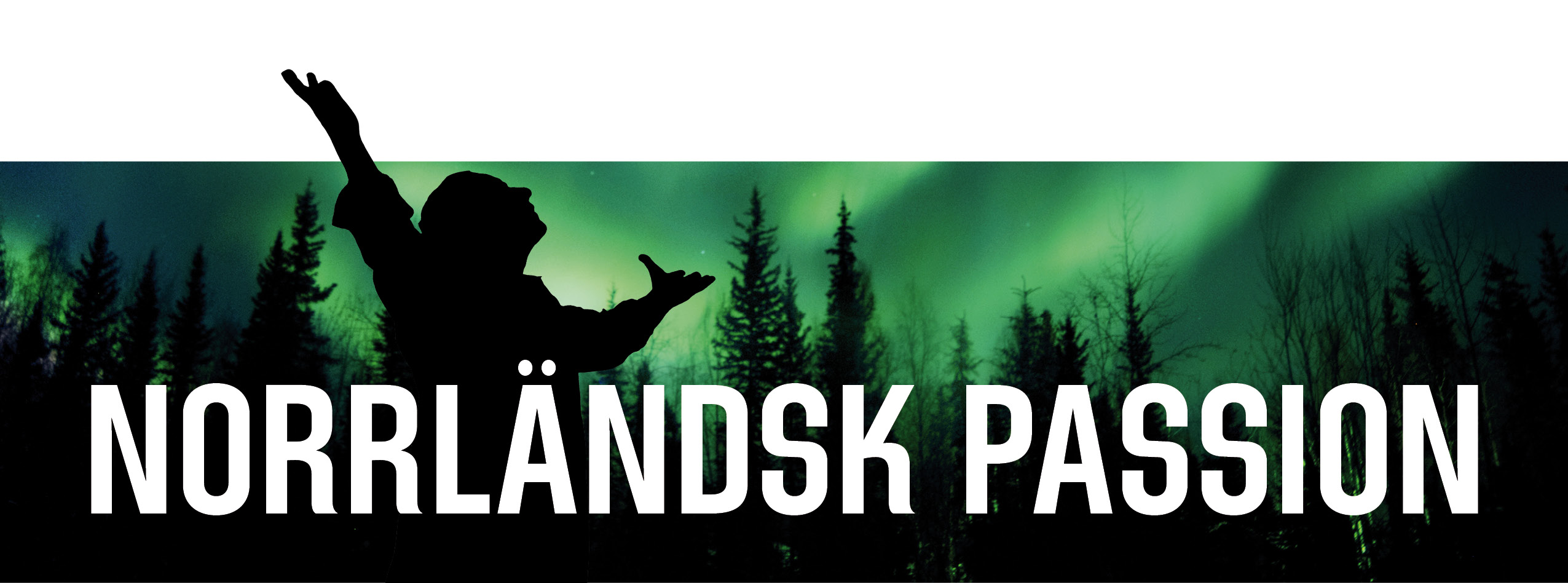 Bildbeskrivning