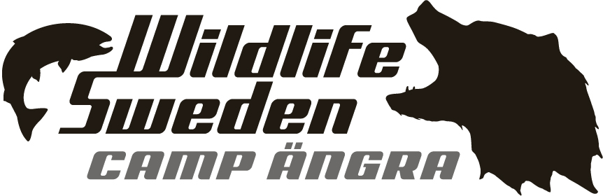 Bildbeskrivning
