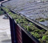 Blocked guttering overflowing with moss, leaves and weeds