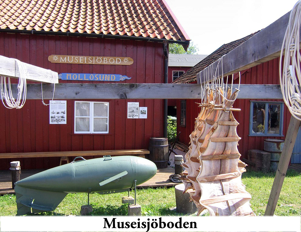 Bildbeskrivning