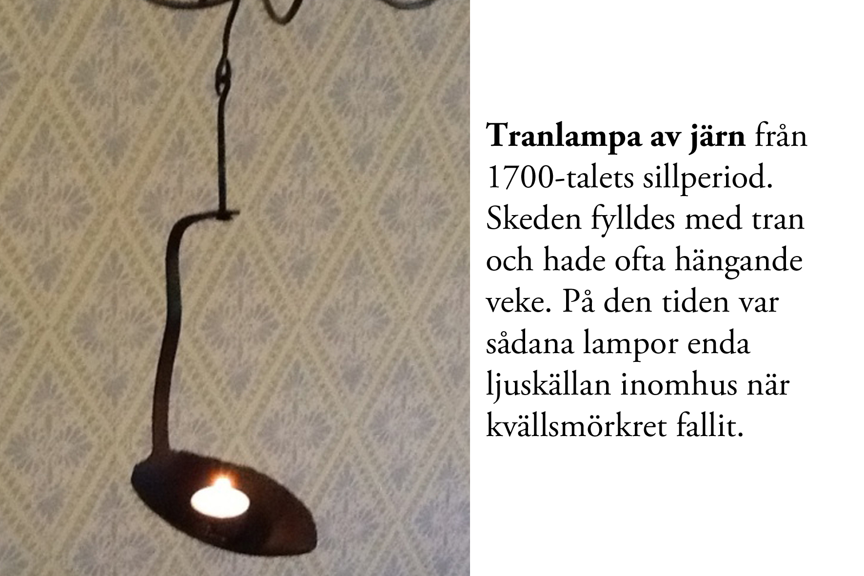 Bildbeskrivning