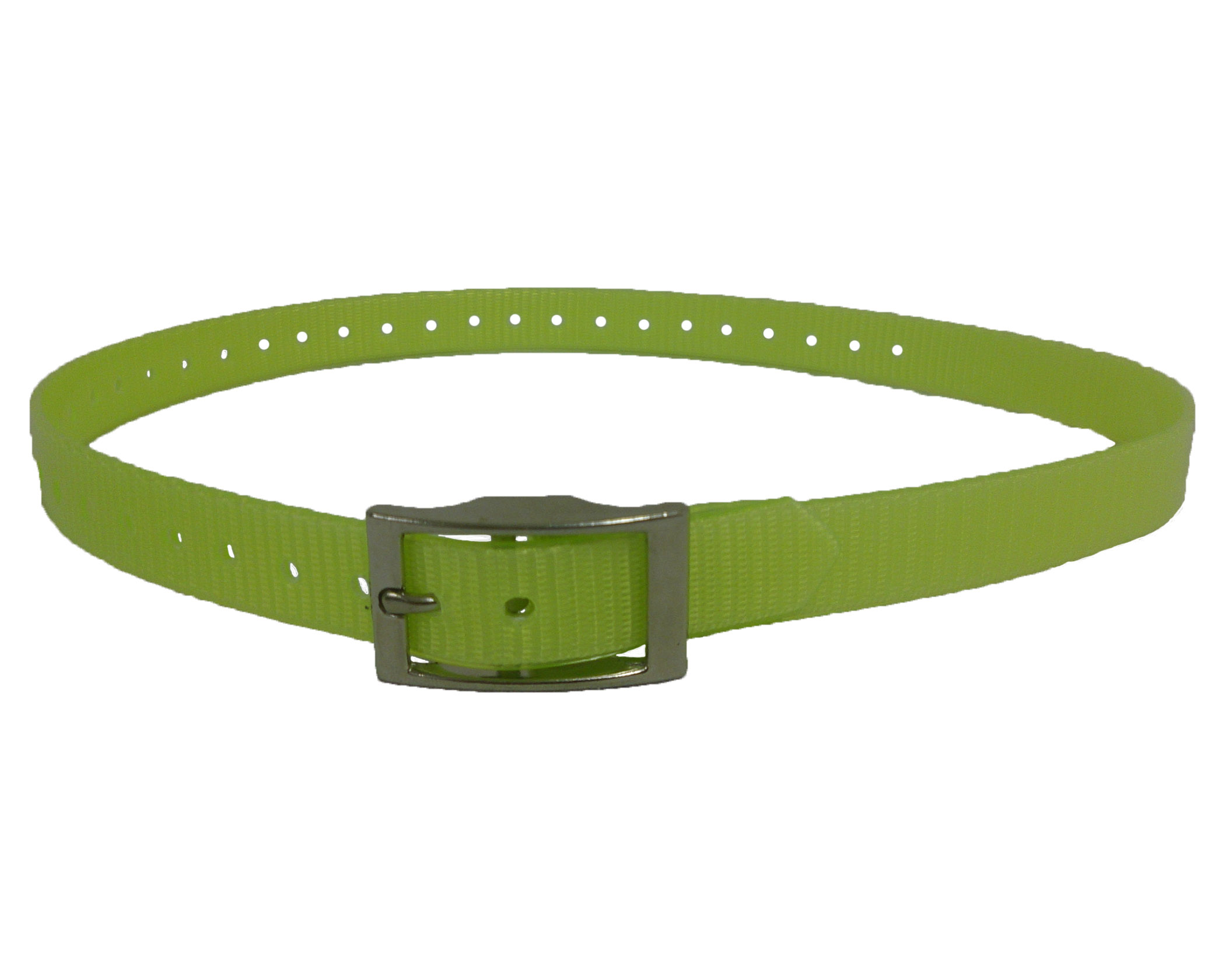 Dog Collars