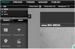 Professional design a website service