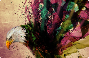 overton graphics